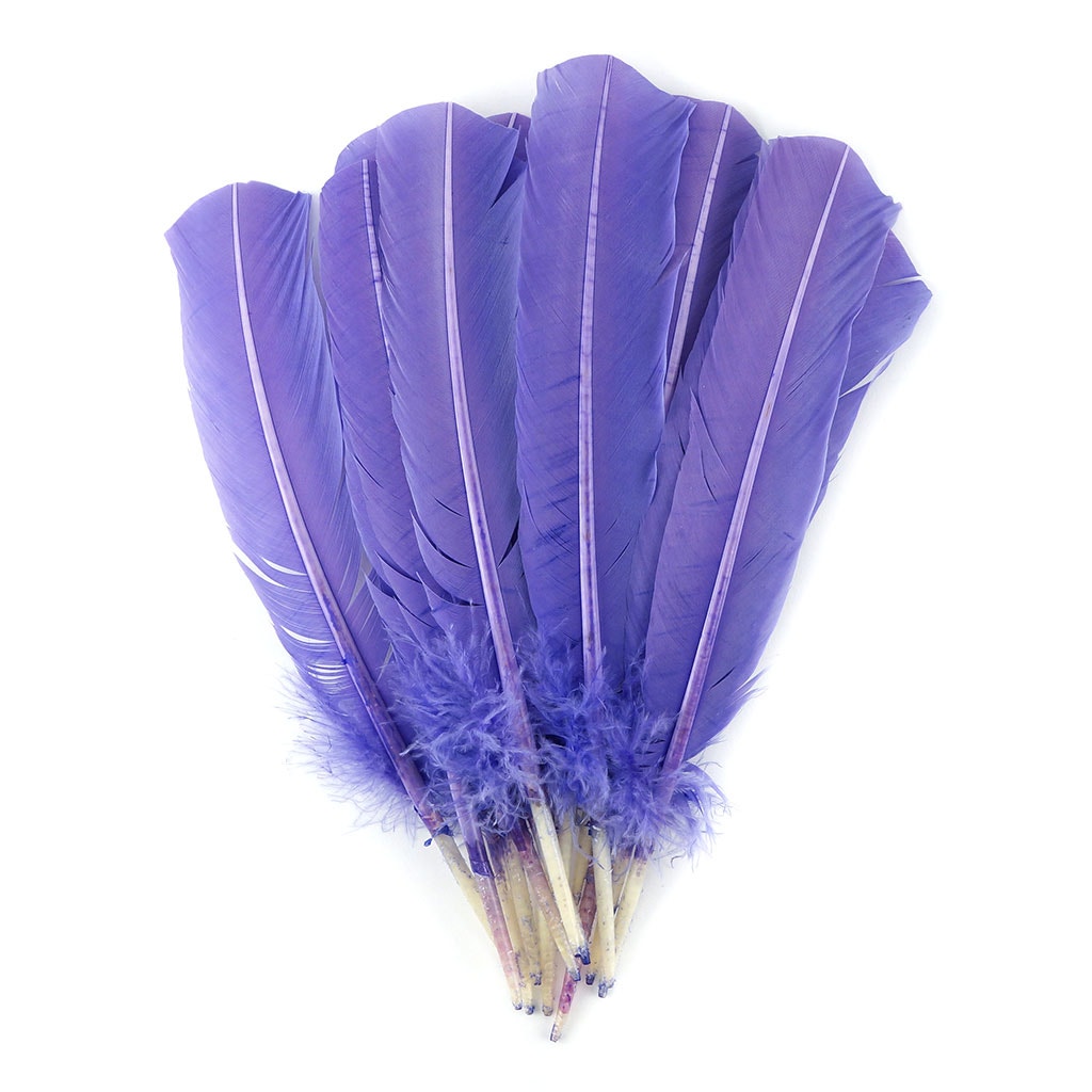 Turkey Quills by Pound - Right Wing - Lavender - Feathers