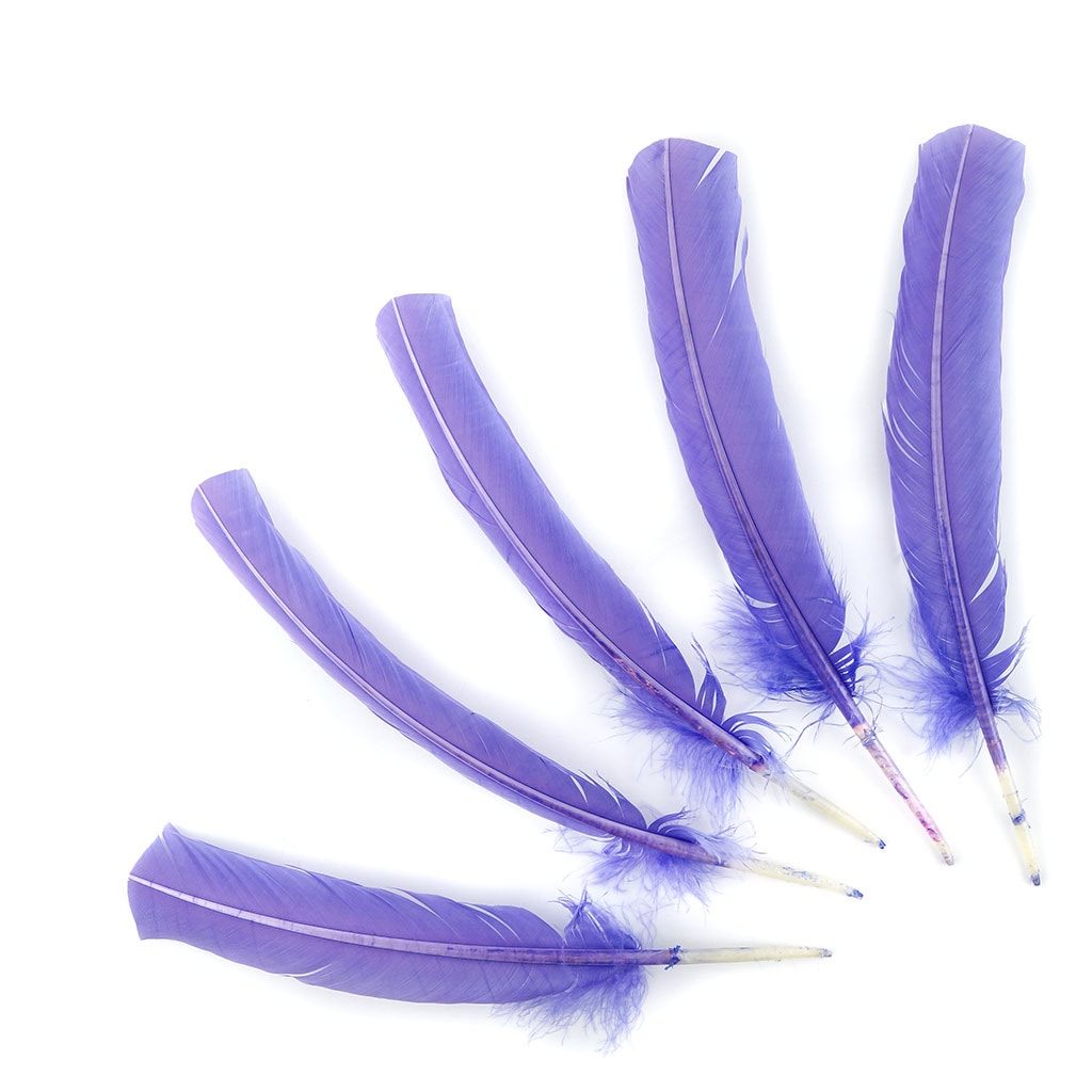 Turkey Quills by Pound - Right Wing - Lavender - Feathers