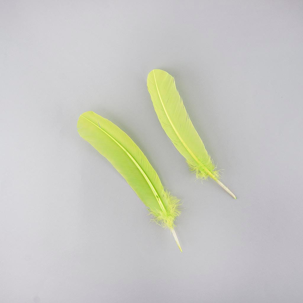 Turkey Quills by Pound - Right Wing - Lime - Feathers