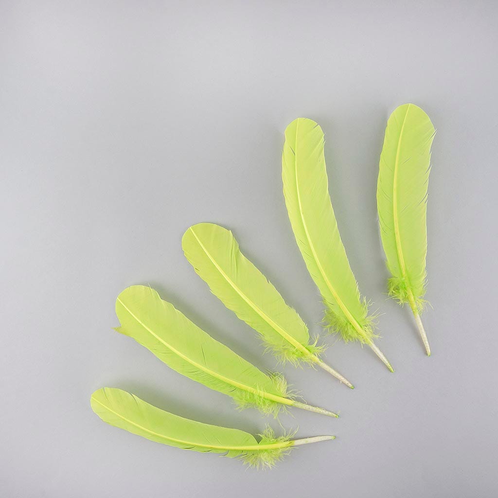 Turkey Quills by Pound - Right Wing - Lime - Feathers