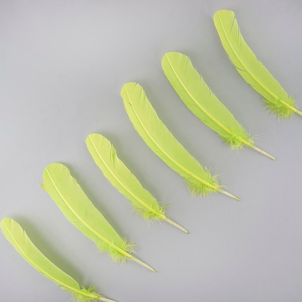 Turkey Quills by Pound - Right Wing - Lime - Feathers