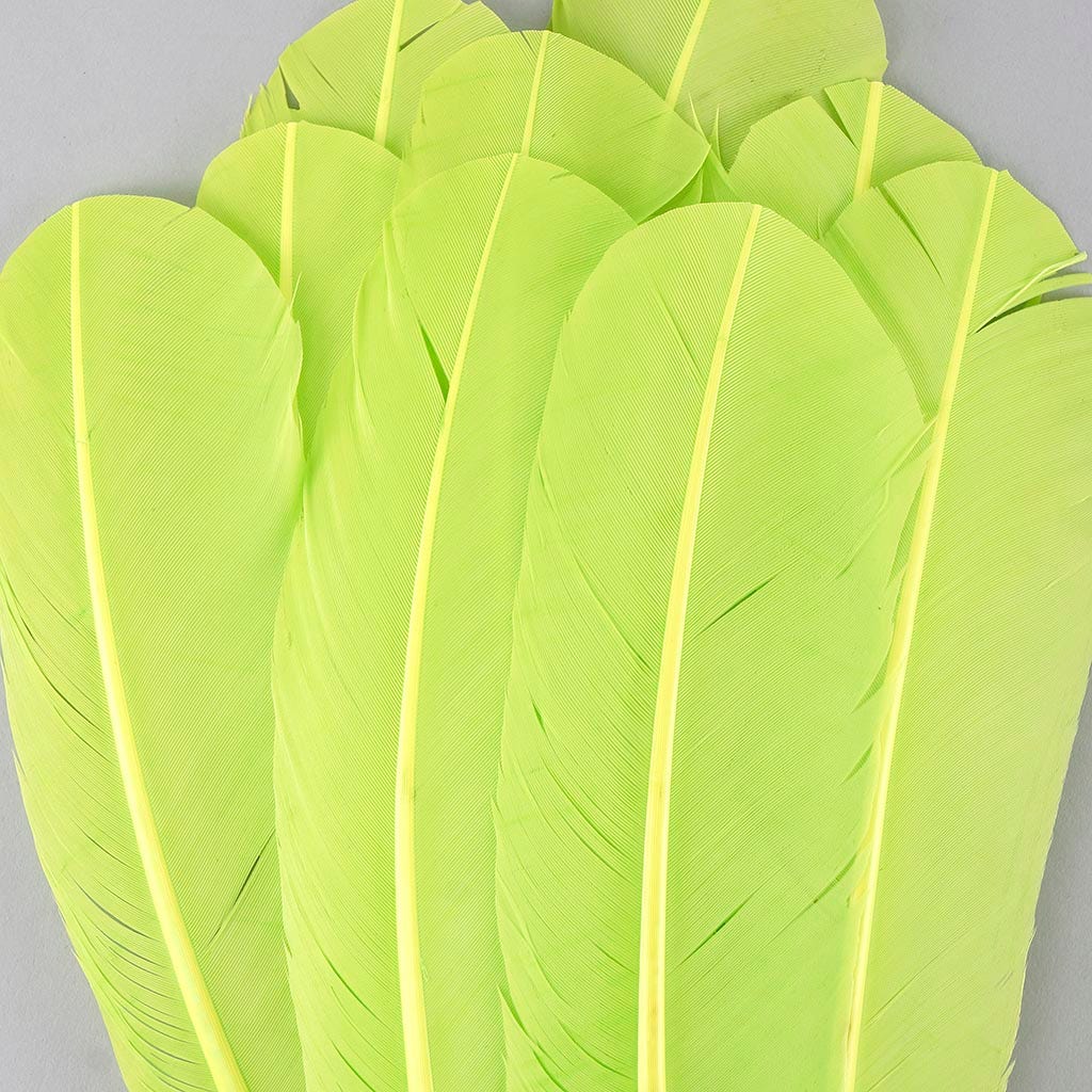 Turkey Quills by Pound - Right Wing - Lime - Feathers