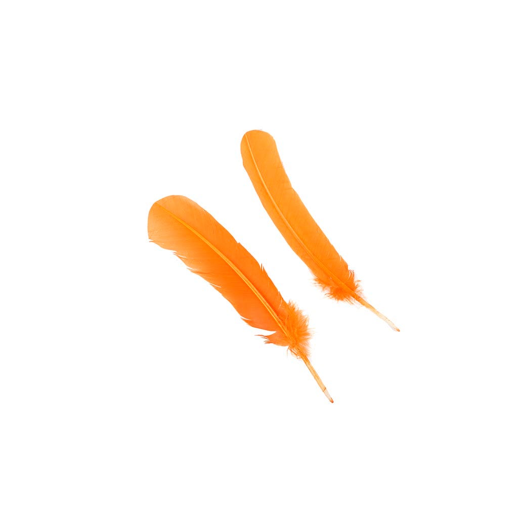 Turkey Quills by Pound - Right Wing - Mango - Feathers