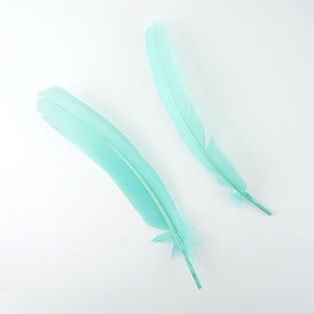 Turkey Quills by Pound - Right Wing - Mint - Feathers