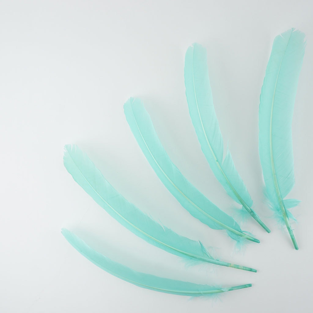 Turkey Quills by Pound - Right Wing - Mint - Feathers