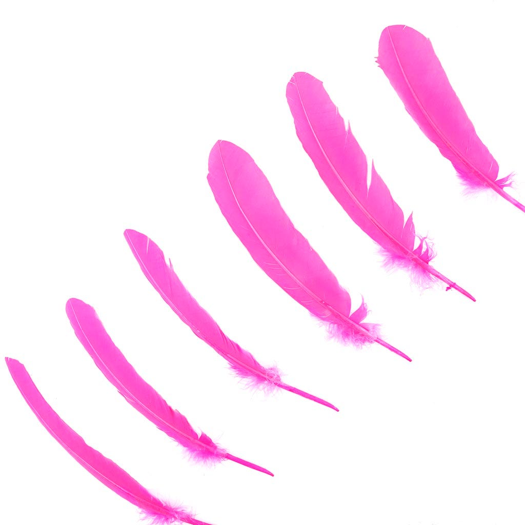 Turkey Quills by Pound - Right Wing - Pink Orient - Feathers