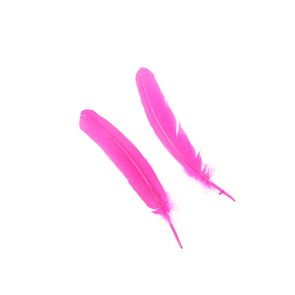 Turkey Quills by Pound - Right Wing - Pink Orient - Feathers