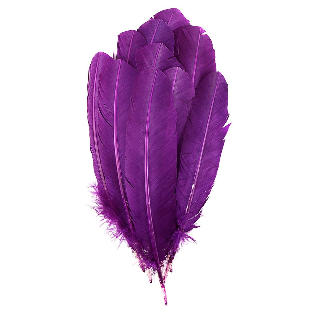 Turkey Quills by Pound - Right Wing - Purple - Feathers