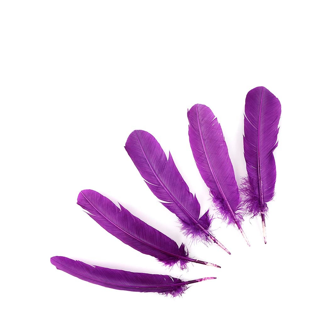 Turkey Quills by Pound - Right Wing - Purple - Feathers