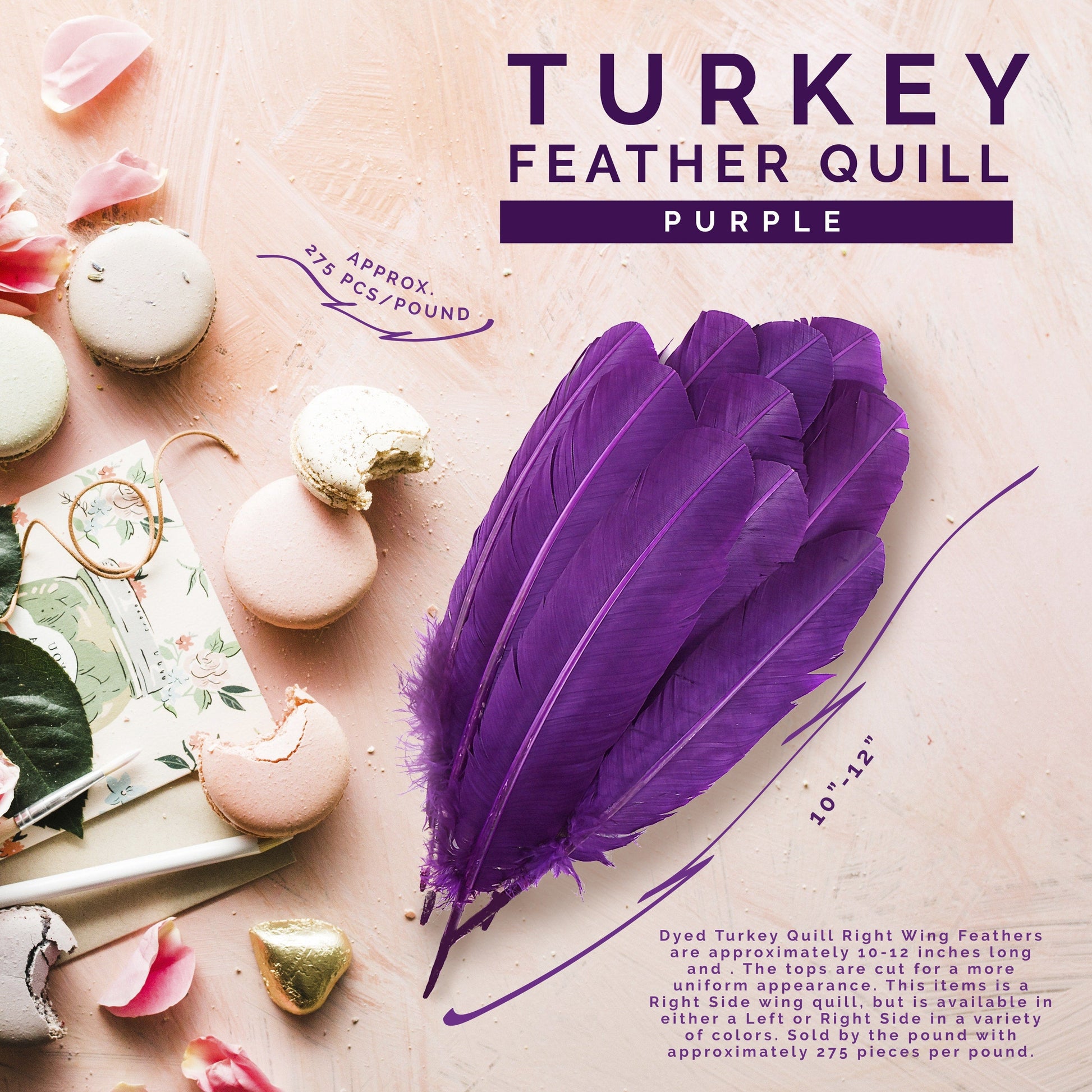 Turkey Quills by Pound - Right Wing - Purple - Feathers