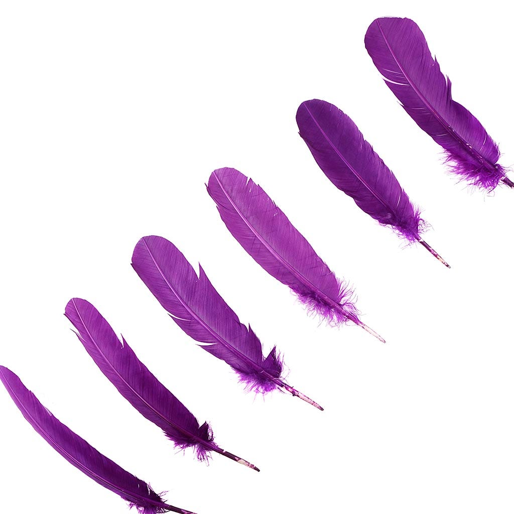 Turkey Quills by Pound - Right Wing - Purple - Feathers