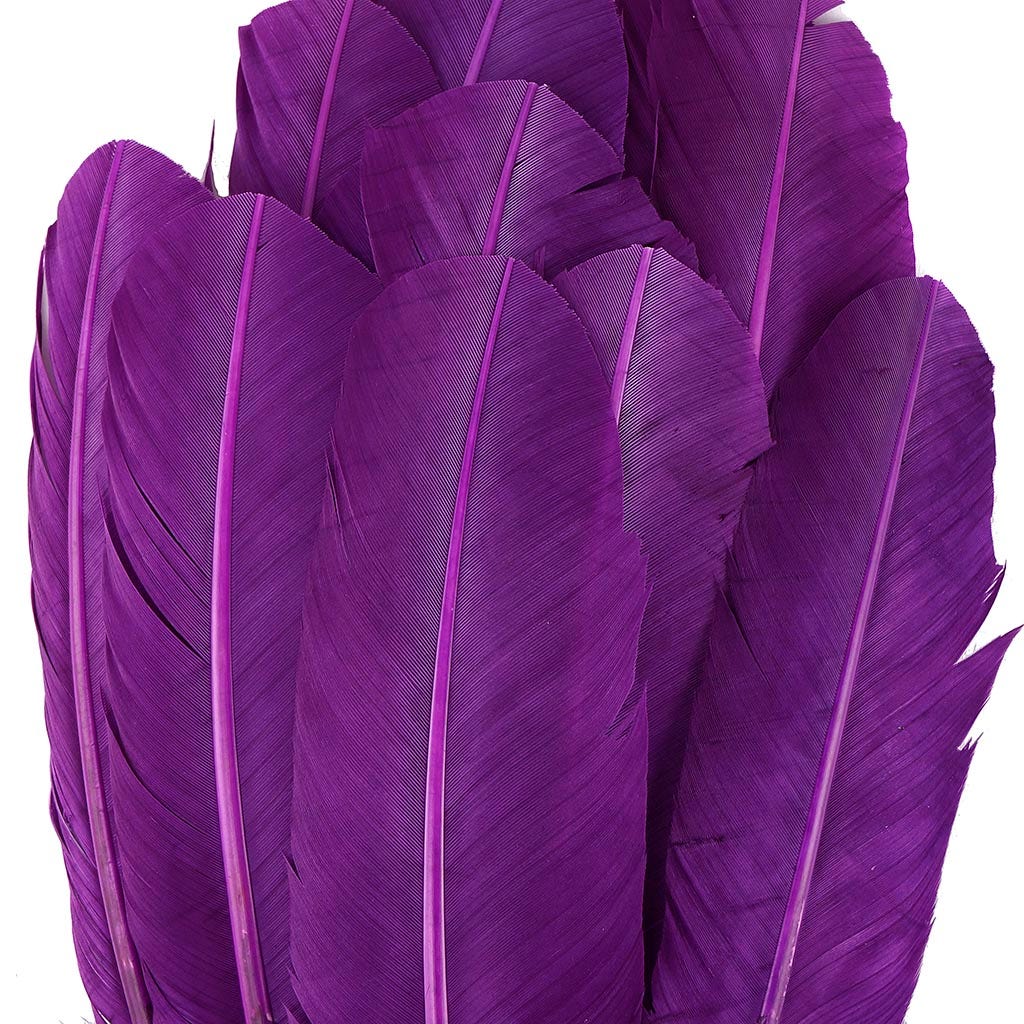 Turkey Quills by Pound - Right Wing - Purple - Feathers