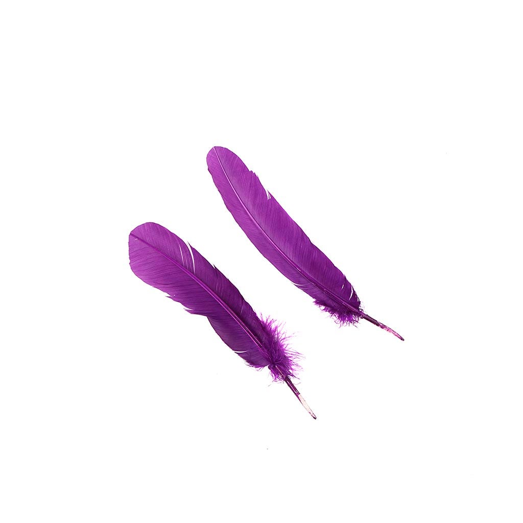 Turkey Quills by Pound - Right Wing - Purple - Feathers