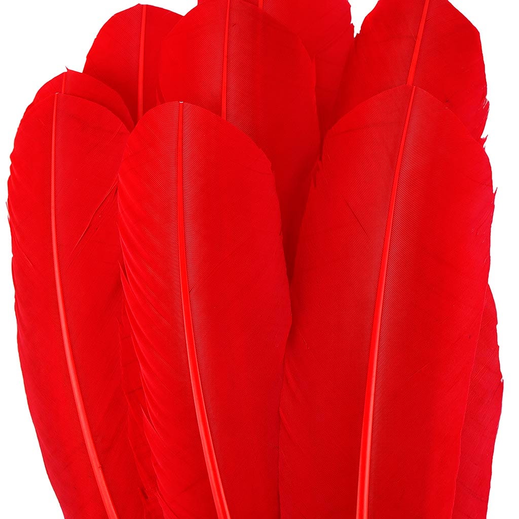 Turkey Quills by Pound - Right Wing - Red - Feathers