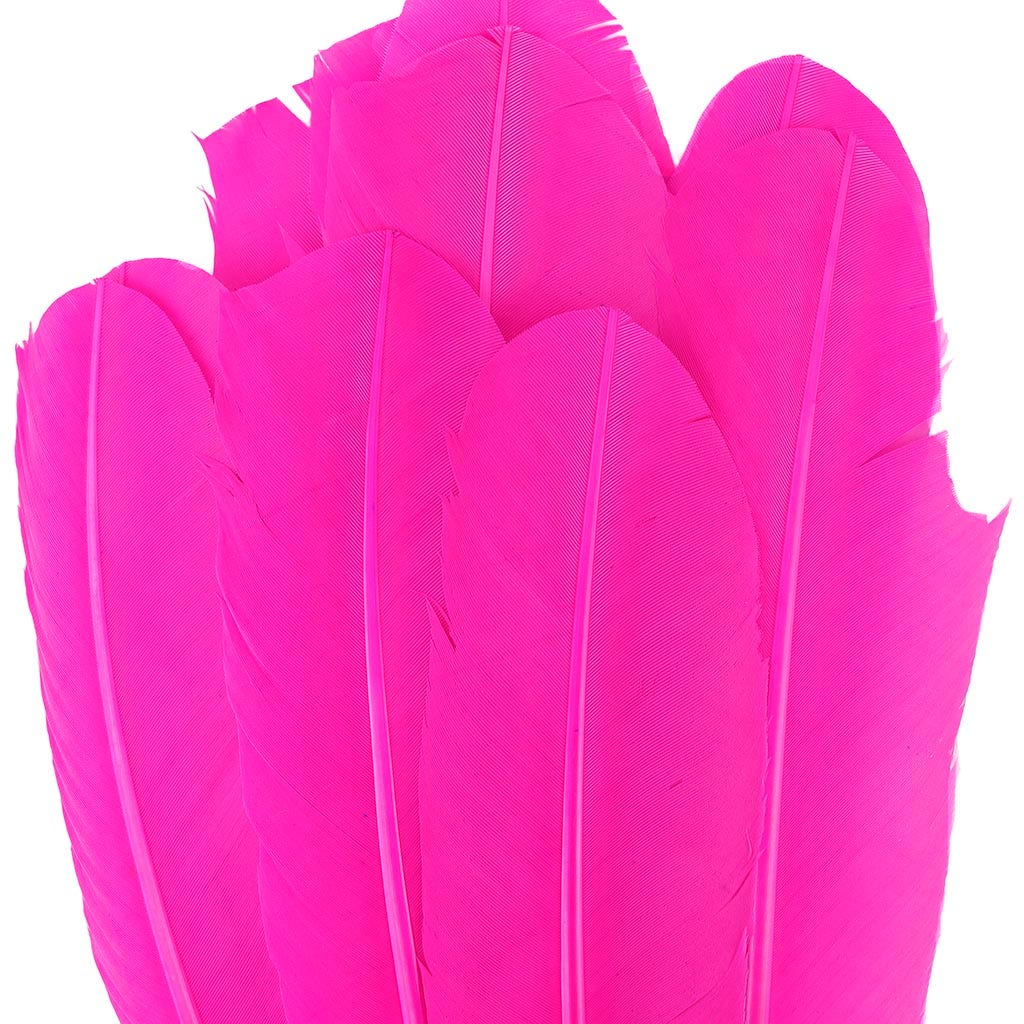 Turkey Quills by Pound - Right Wing - Shocking Pink - Feathers