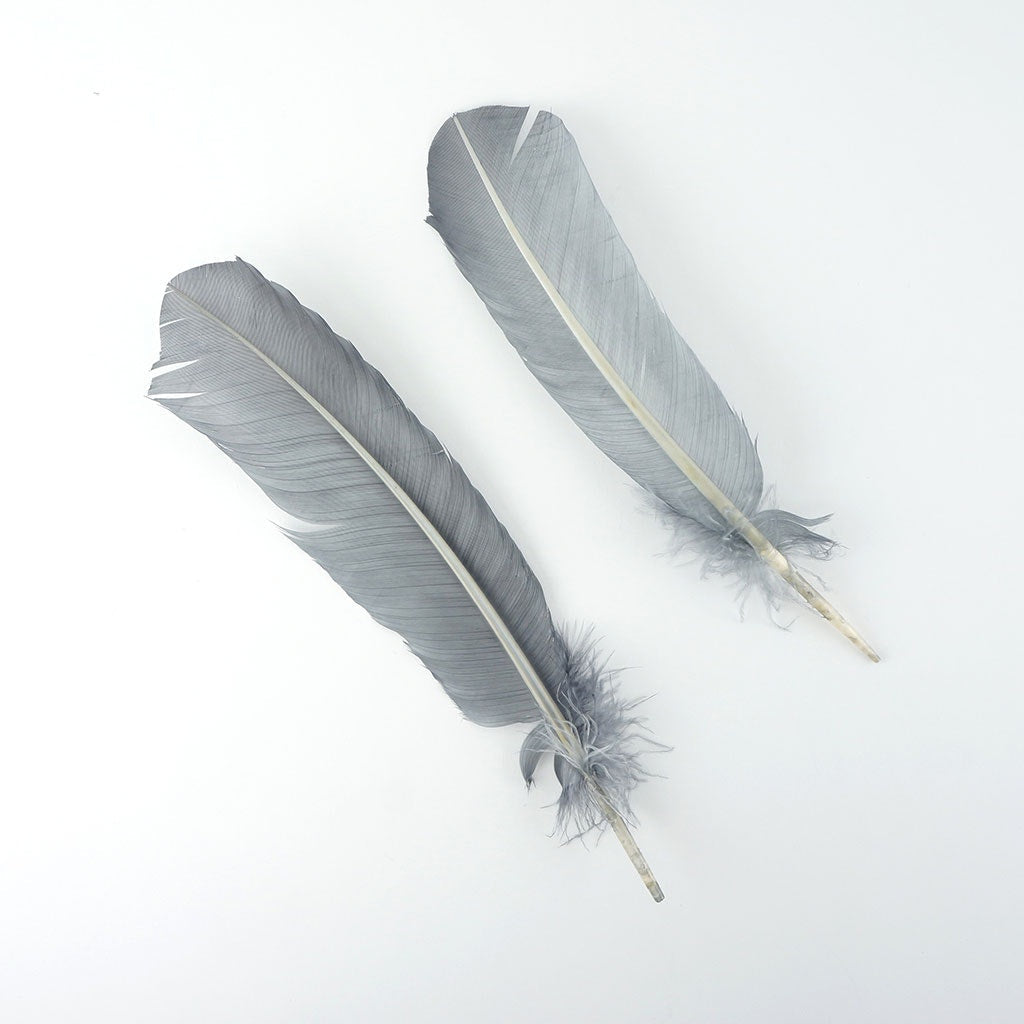 Turkey Quills by Pound - Right Wing - Silver - Feathers