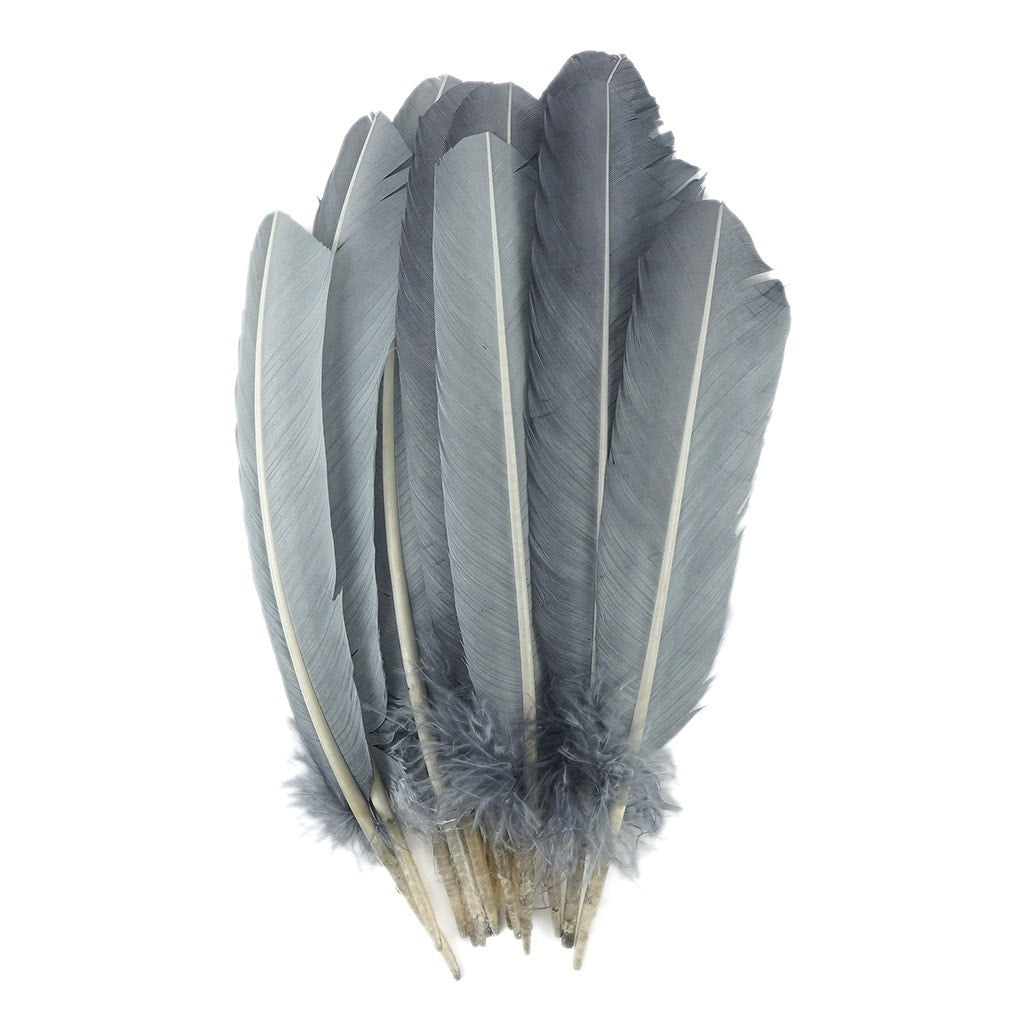 Turkey Quills by Pound - Right Wing - Silver - Feathers