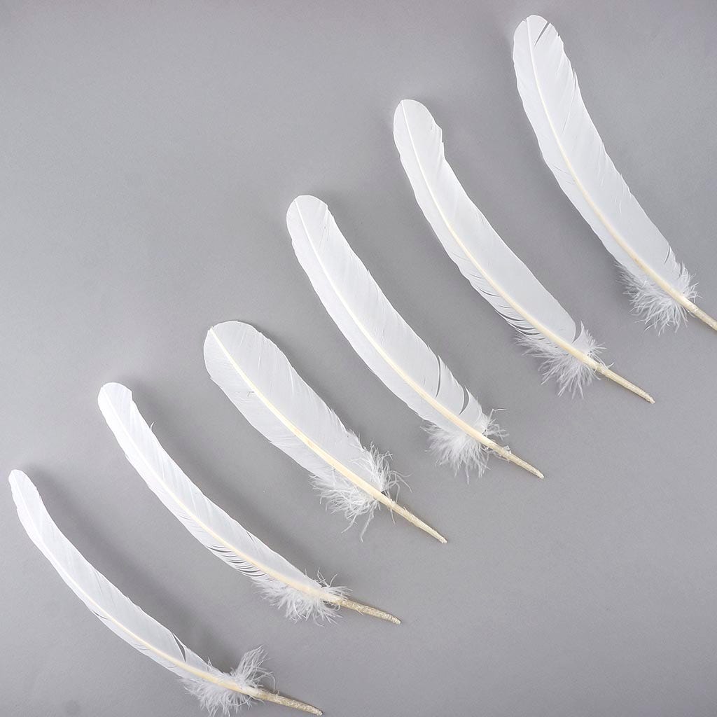 Turkey Quills by Pound - Right Wing - White - Feathers