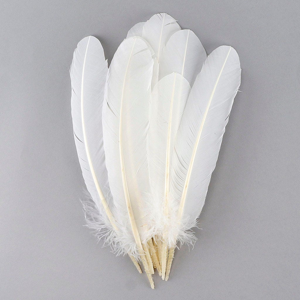 Turkey Quills by Pound - Right Wing - White - Feathers