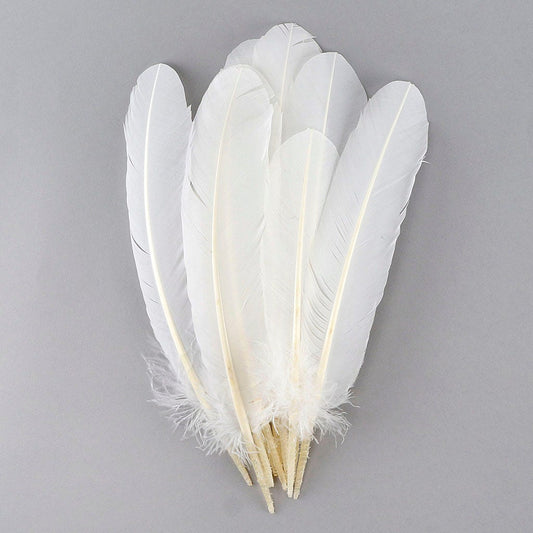 Turkey Quills by Pound - Right Wing - White - Feathers