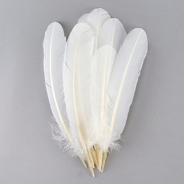 Wing Feathers, 1 Lb - Hot Pink Turkey Rounds Wing Quill Wholesale outlet Feathers (Bulk) Halloween Craft Supplier : 4933