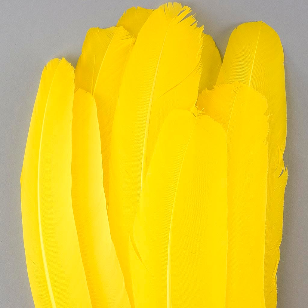 Turkey Quills by Pound - Right Wing - Yellow - Feathers