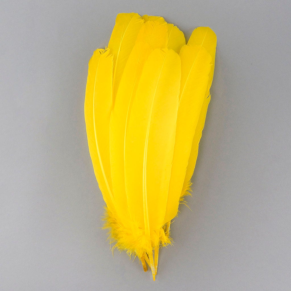 Turkey Quills by Pound - Right Wing - Yellow - Feathers