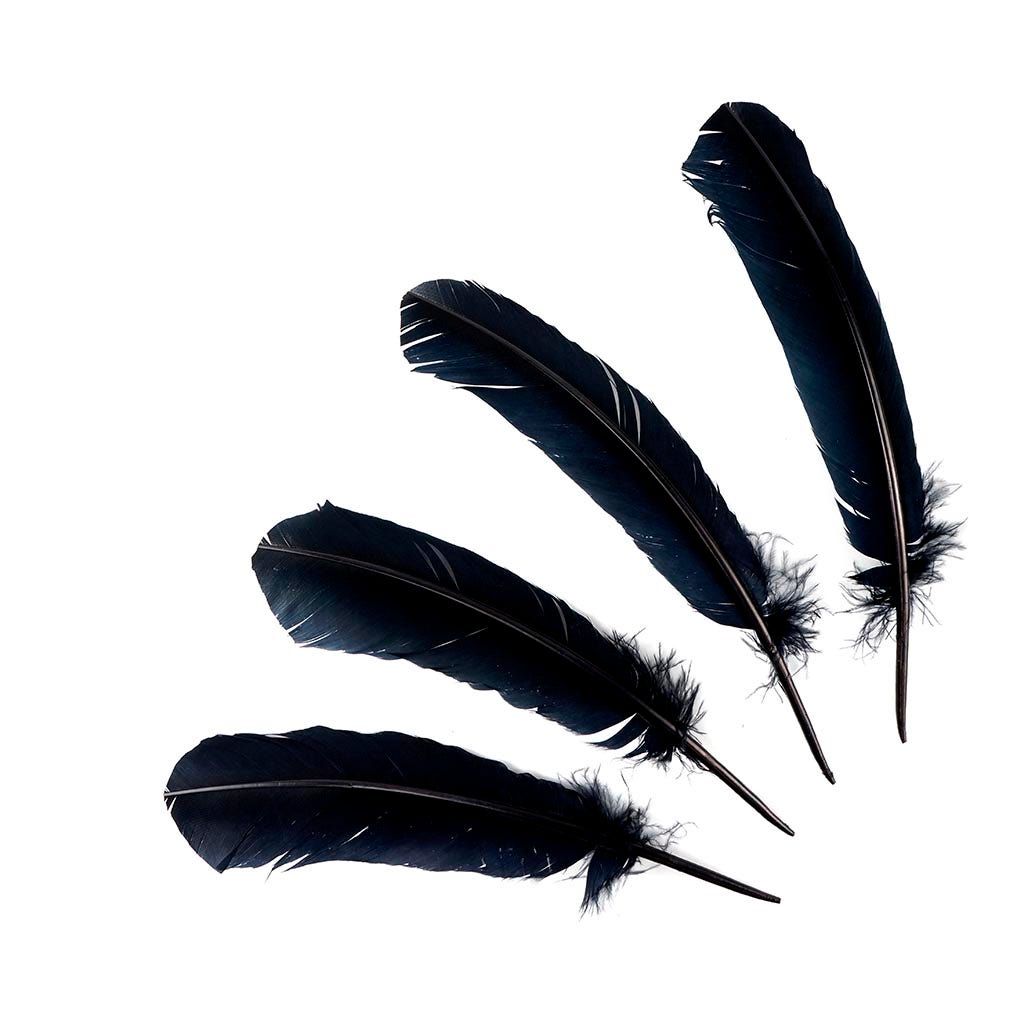 Turkey Quills Dyed - Black - Feathers