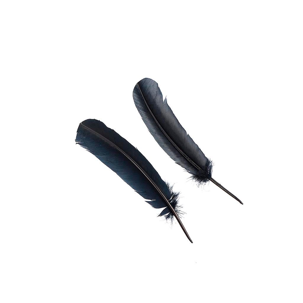 Turkey Quills Dyed - Black - Feathers