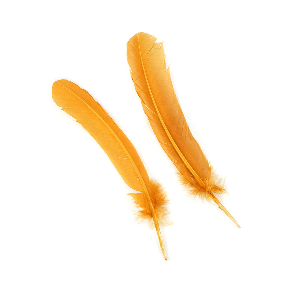 Turkey Quills Dyed Feathers - Antique Gold - Feathers