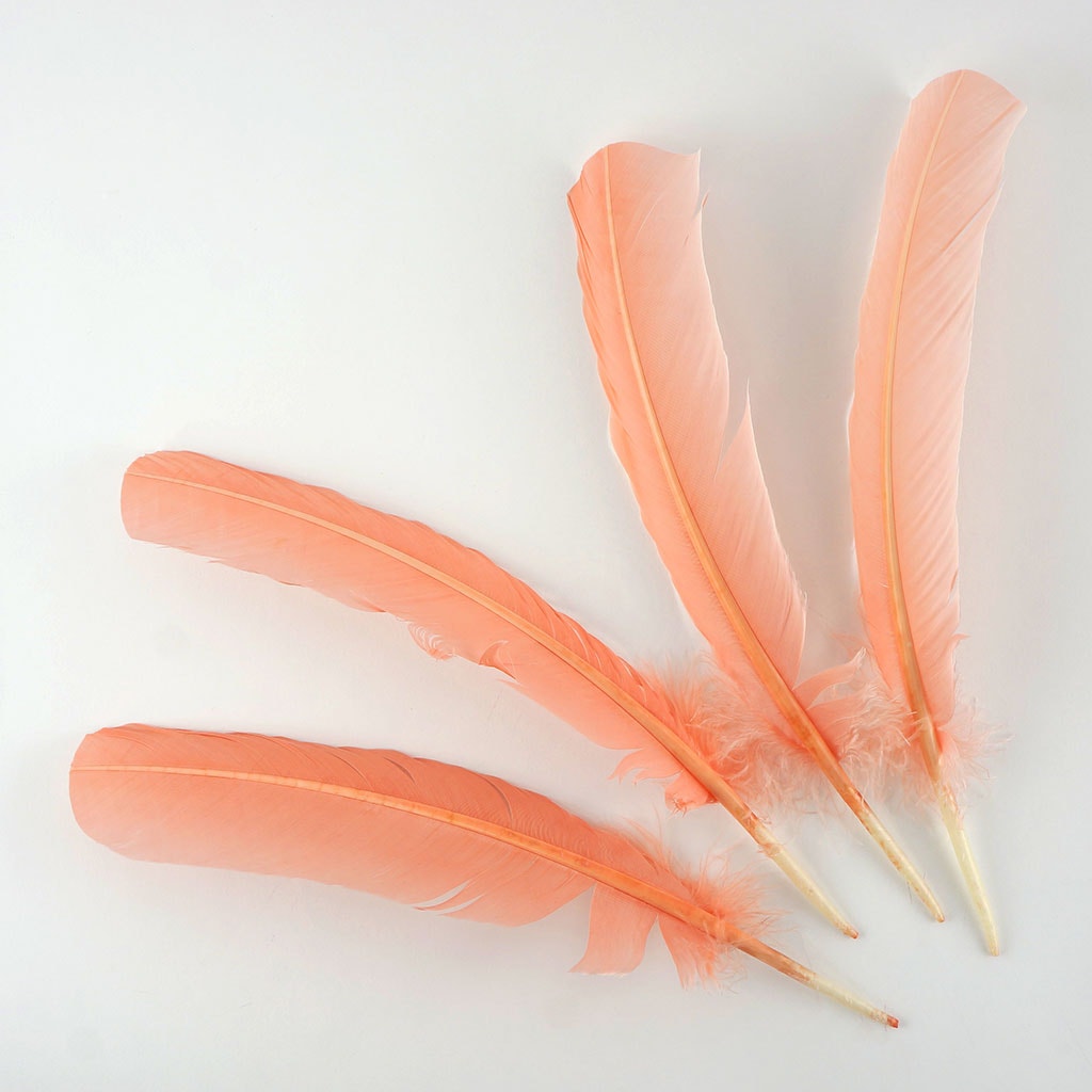 Turkey Quills Dyed Feathers Apricot Blush - Feathers