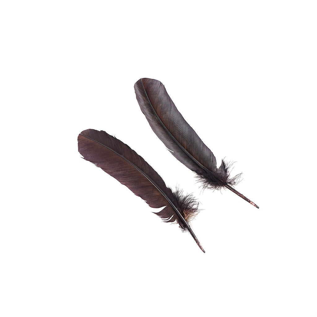 Turkey Quills Dyed Feathers - Brown - Feathers