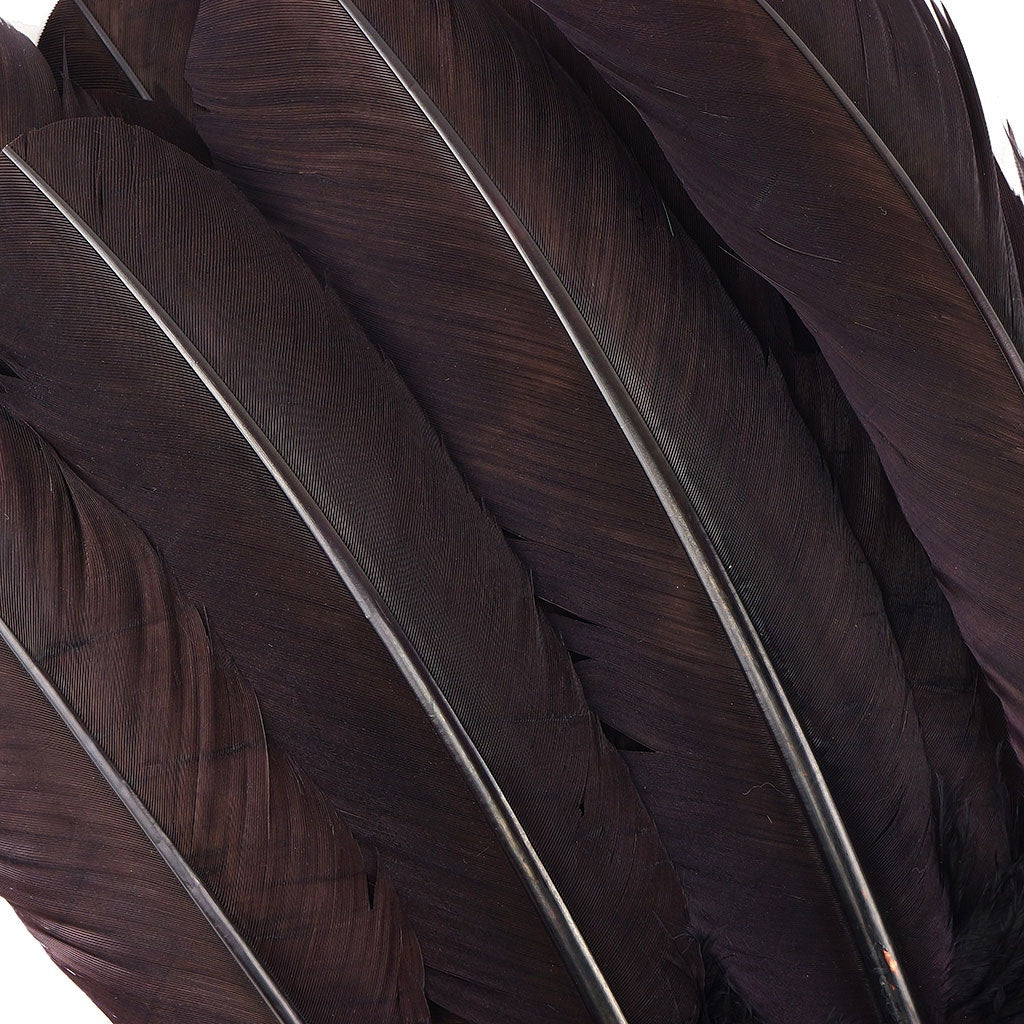 Turkey Quills Dyed Feathers - Brown - Feathers