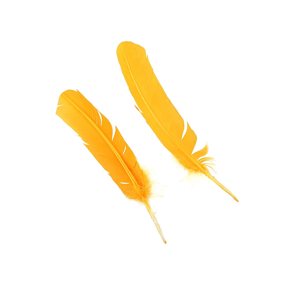 Turkey Quills Dyed Feathers - Gold - Feathers