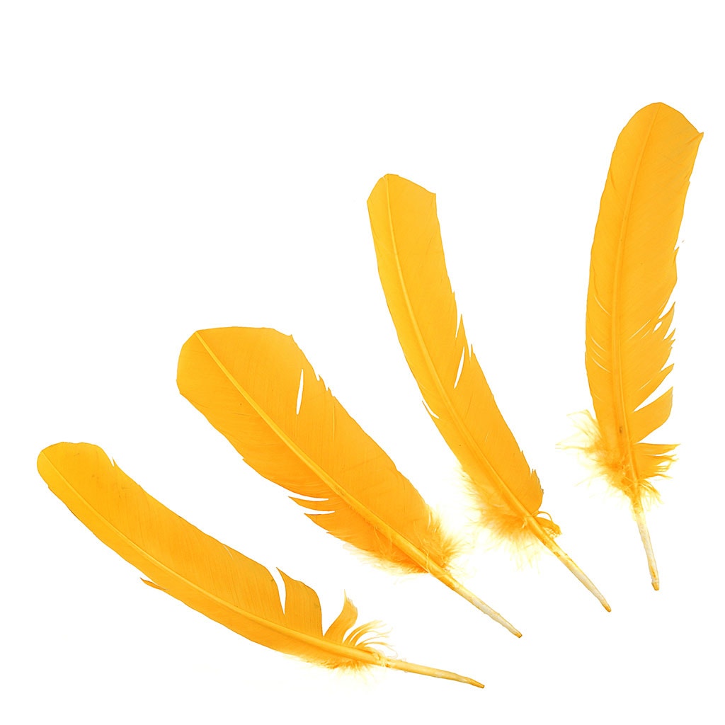 Turkey Quills Dyed Feathers - Gold - Feathers