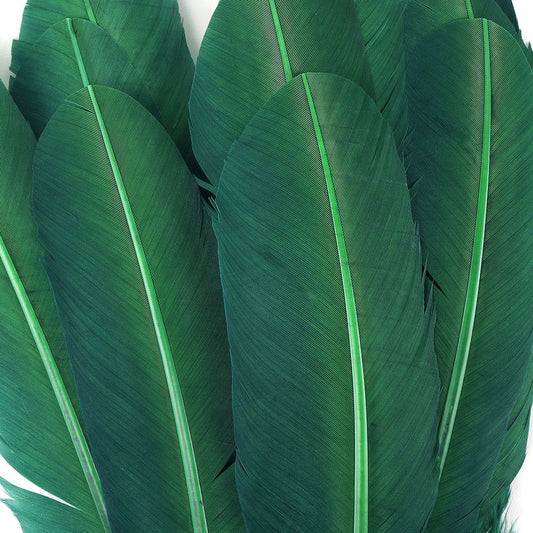 Turkey Quills Dyed Feathers - Hunter Green - Feathers