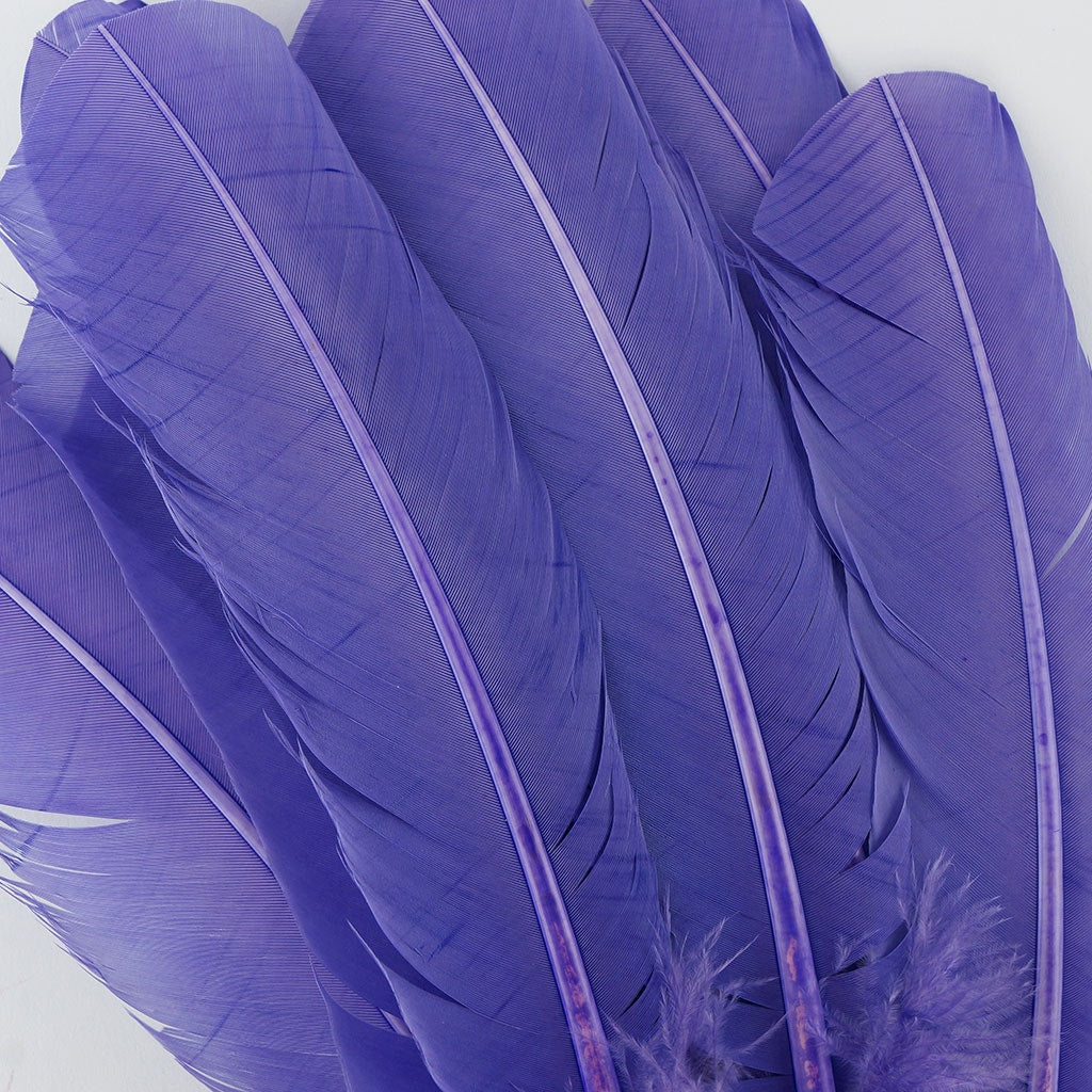 Turkey Quills Dyed Feathers Lavender - Feathers