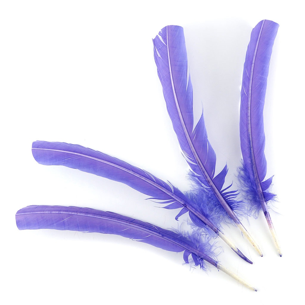 Turkey Quills Dyed Feathers Lavender - Feathers