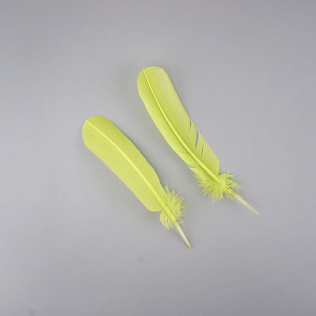 Turkey Quills Dyed Feathers - Lime Green - Feathers