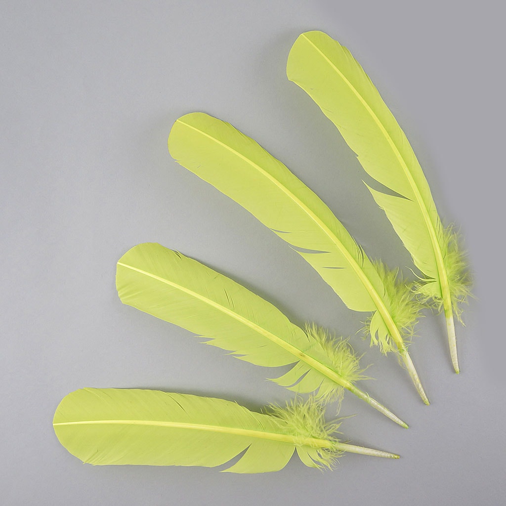 Turkey Quills Dyed Feathers - Lime Green - Feathers