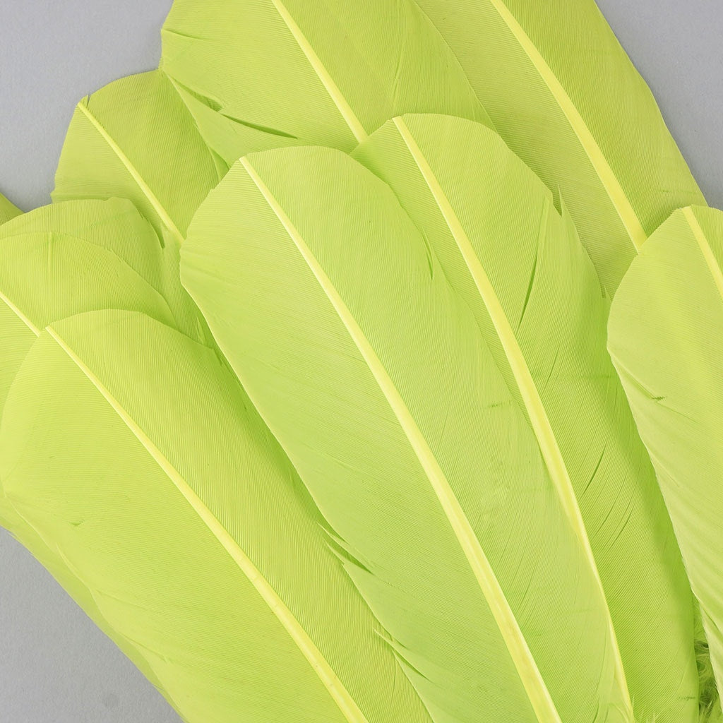 Turkey Quills Dyed Feathers - Lime Green - Feathers