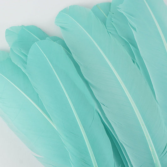 Turkey Quills Dyed Feathers Mint - Feathers