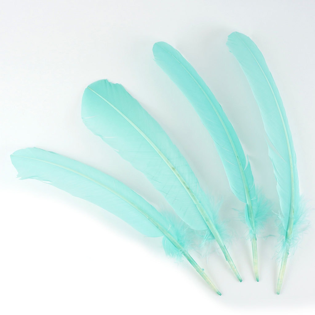 Turkey Quills Dyed Feathers Mint - Feathers