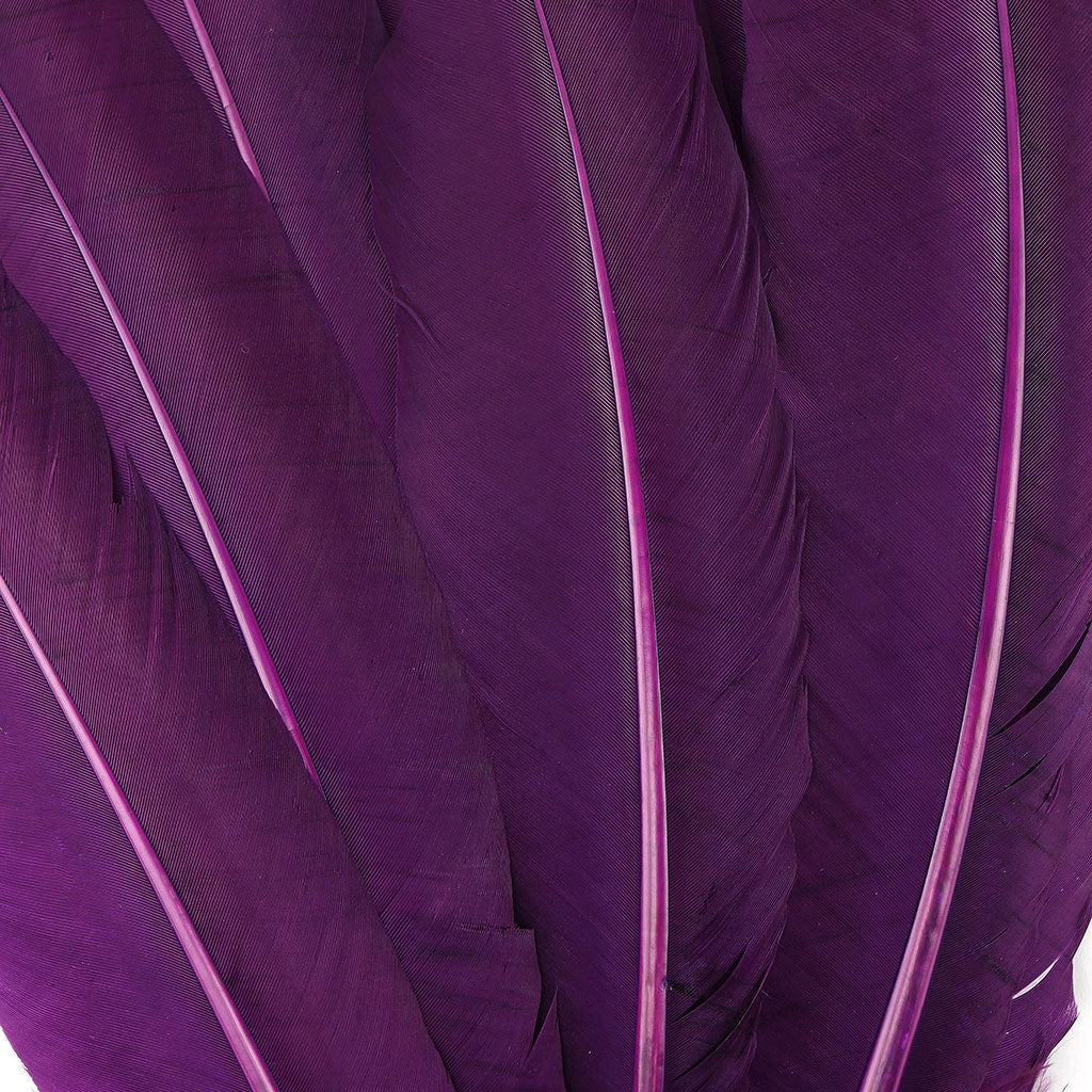 Turkey Quills Dyed Feathers - Purple - Feathers