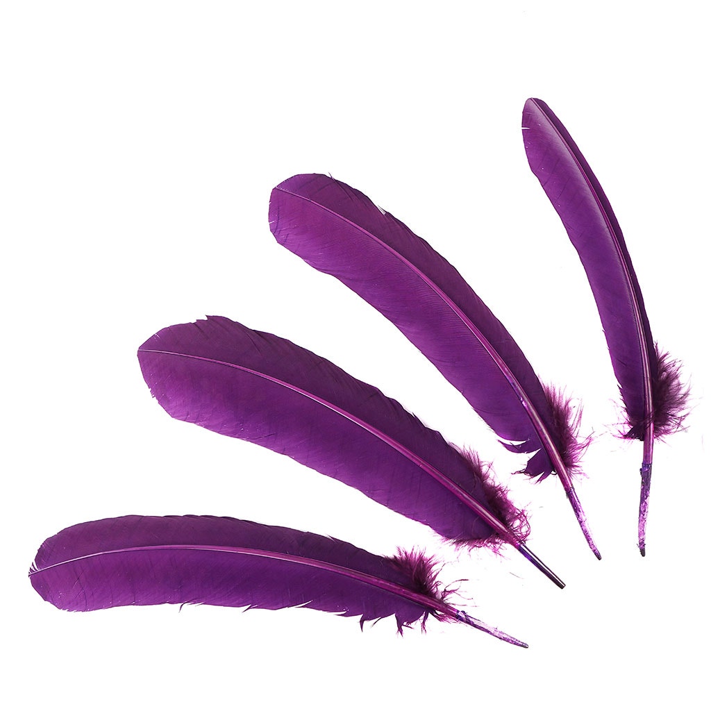 Turkey Quills Dyed Feathers - Purple - Feathers