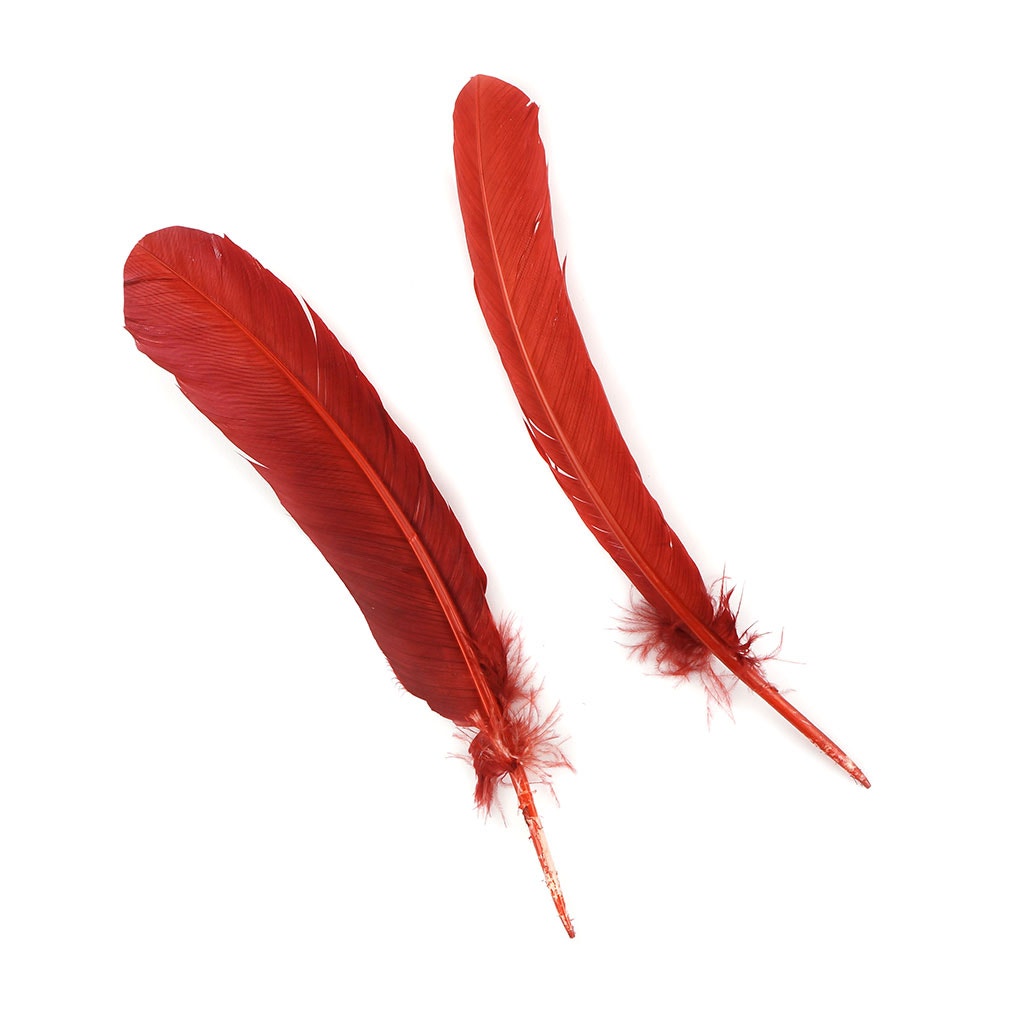 Turkey Quills Dyed Feathers - Rust - Feathers