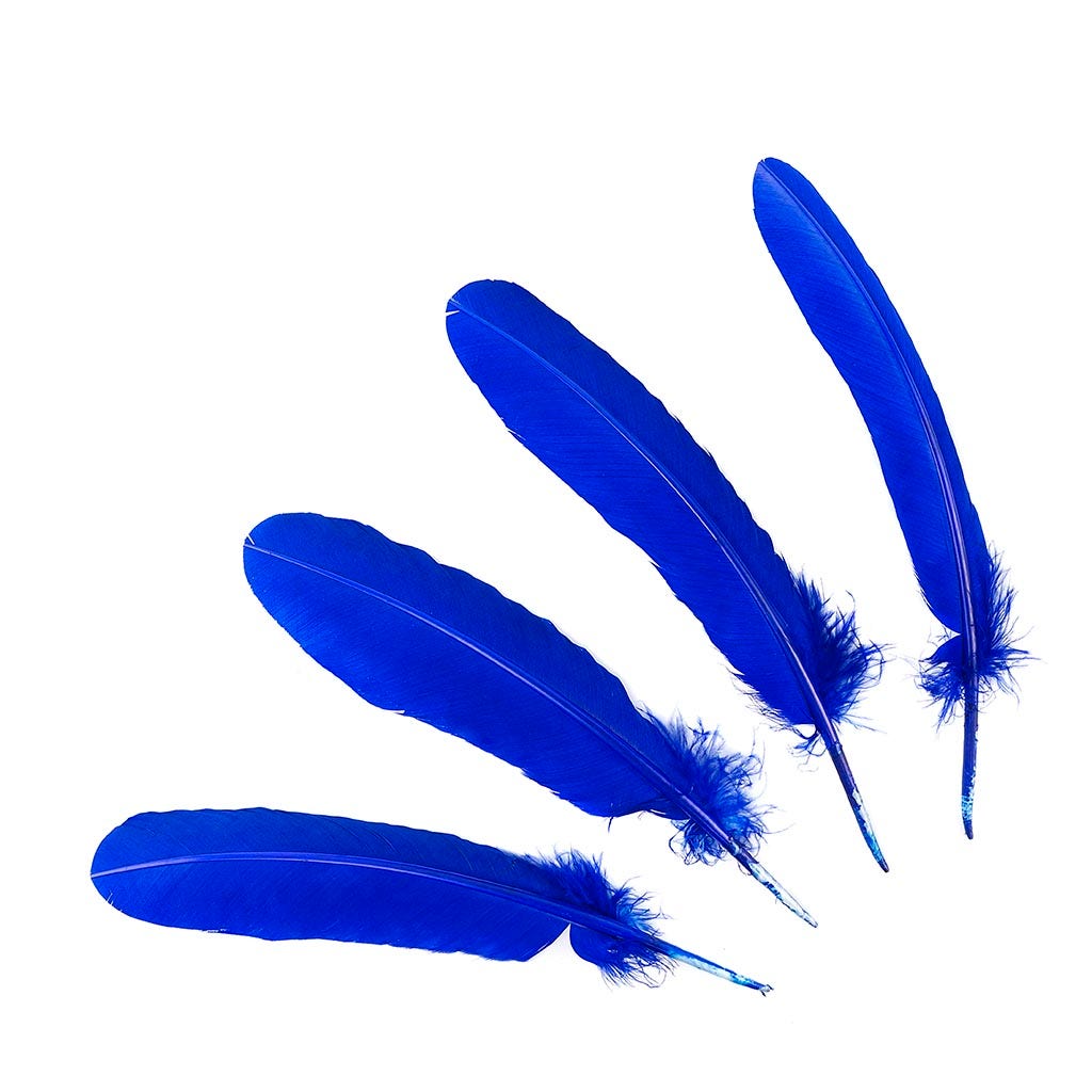 Turkey Quills Dyed - Royal - Feathers