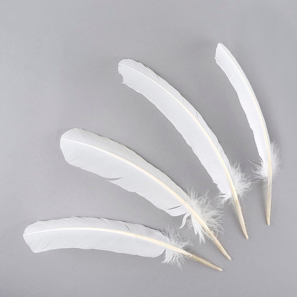 Turkey Quills Dyed - White - Feathers