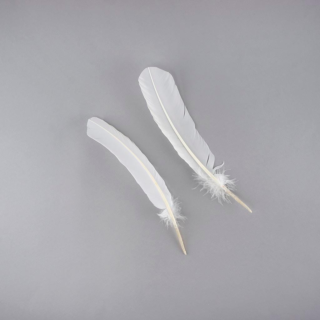 Turkey Quills Dyed - White - Feathers