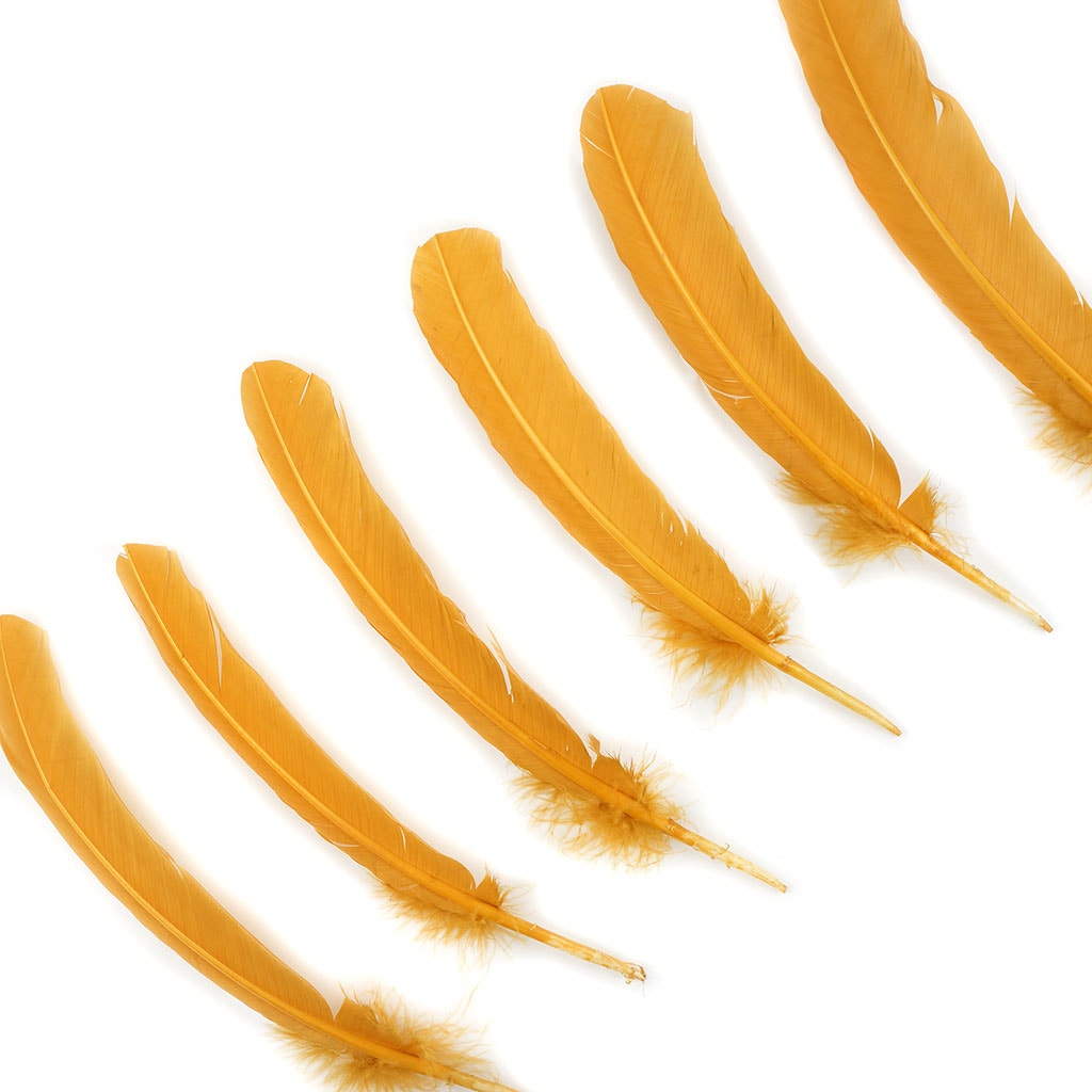 Turkey Quills Selected Antique Gold - Feathers